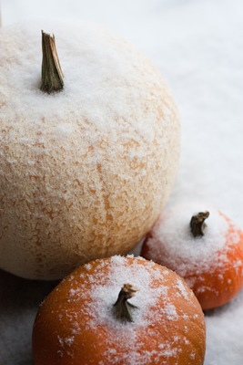 [20101125-IMG_4080[3].jpg]