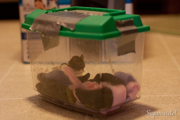 [20101206-IMG_4275[3].jpg]