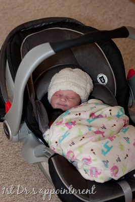 [20110119-IMG_4564[10].jpg]