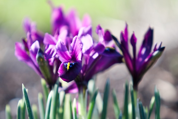 [20110218-IMG_5838[2].jpg]