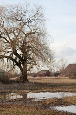 [20110306IMG_636311.jpg]