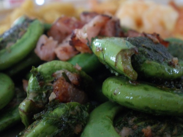 [fiddleheads2[4].jpg]