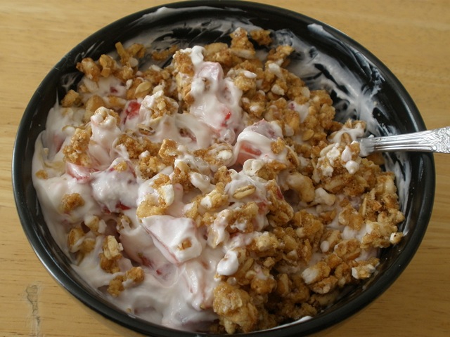 [yogurt[3].jpg]