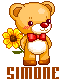 Assinatura Simone Assinatura Simone