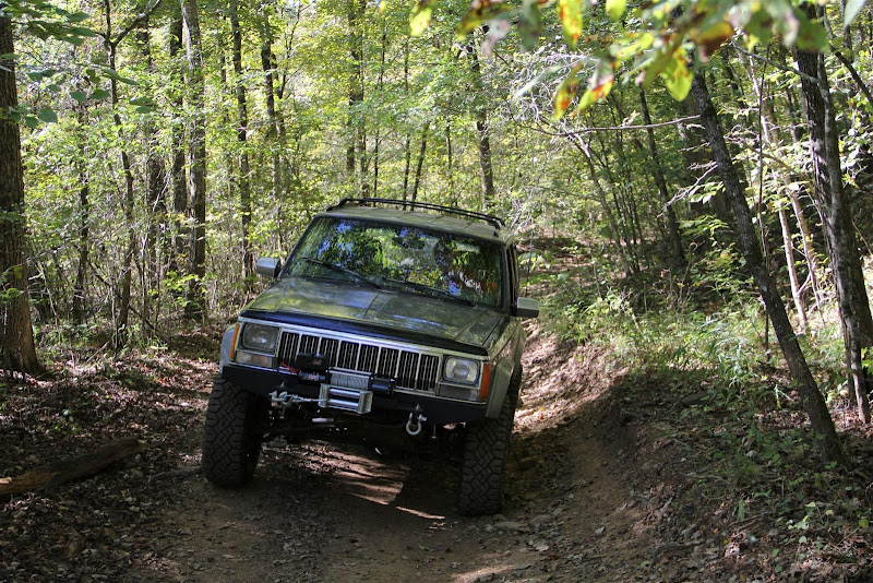 IMG_5507%20%28Large%29.JPG