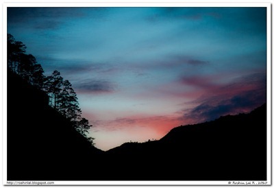 IMG_5071