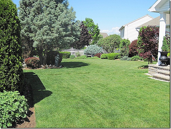 lawn