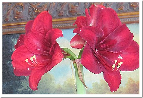 blooms
