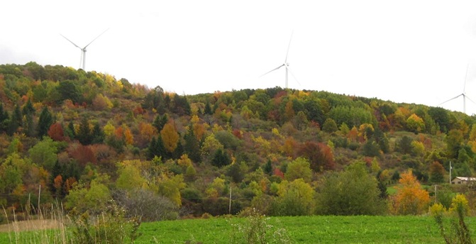 [wind1[4].jpg]