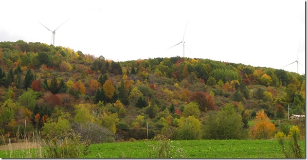 wind1