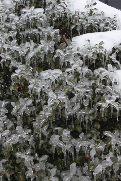 [2011_02_02_1222[1].jpg]