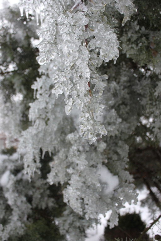 [2011_02_02_1228[1].jpg]