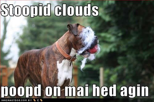[funny-dog-pictures-clouds-poopd[3].jpg]