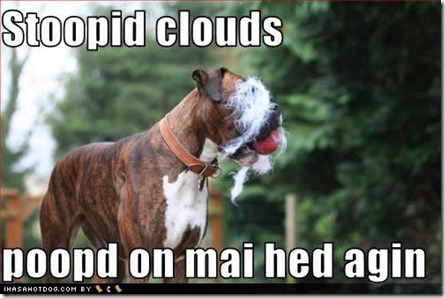 funny-dog-pictures-clouds-poopd