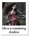 Life is a wondering shadow
