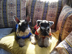 DSC05317.JPG