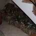 DSCF7362.JPG
