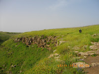 IMGP0513.JPG Photo