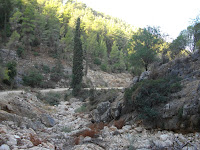 IMGP3860.JPG Photo