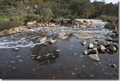 IMG_3519 IMG_3519
