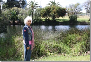 Ouma en die swart swaan