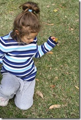 IMG_8605 IMG_8605
