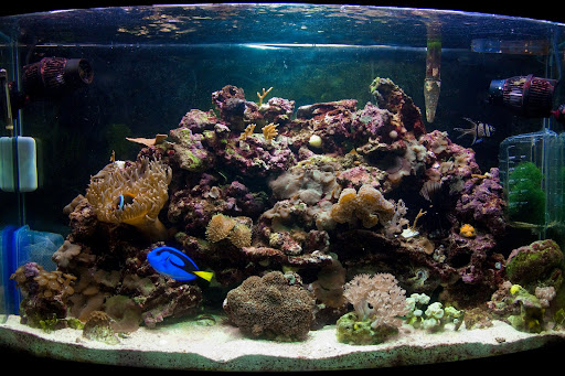fts