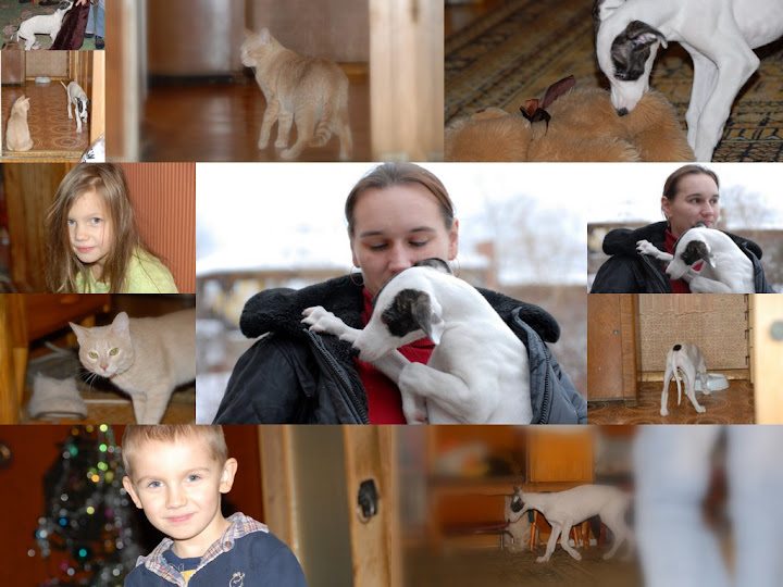 http://lh3.ggpht.com/_QO09i8F--1A/SeLpz7bx7oI/AAAAAAAABPw/_kFLR9FLo7s/s720/полина%2C%20новый%20год%2C.jpg