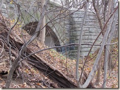 IMG_0814 IMG_0814