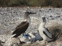 [clip_image003[4].jpg]