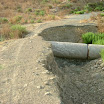 The Gecko Run - DSCF4755.JPG