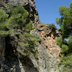 The Gecko Run - DSCF4561.JPG