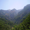 The Gecko Run - IMG_0005.JPG