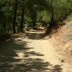 The Gecko Run - DSCF4623.JPG