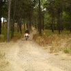The Gecko Run - IMG_0016-1.JPG