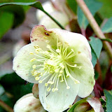 printemps2009