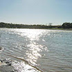 Pontal