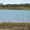 Represa