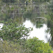 AABB_038.JPG
