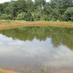 AABB_039.JPG