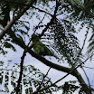AABB_061.JPG
