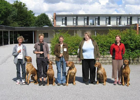 yankeeavlslp2005.JPG yankeeavlslp2005.JPG