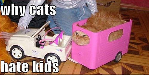 [why cats hate kids[3].jpg]