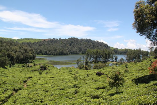 Situ Patenggang / Lake Patenggang