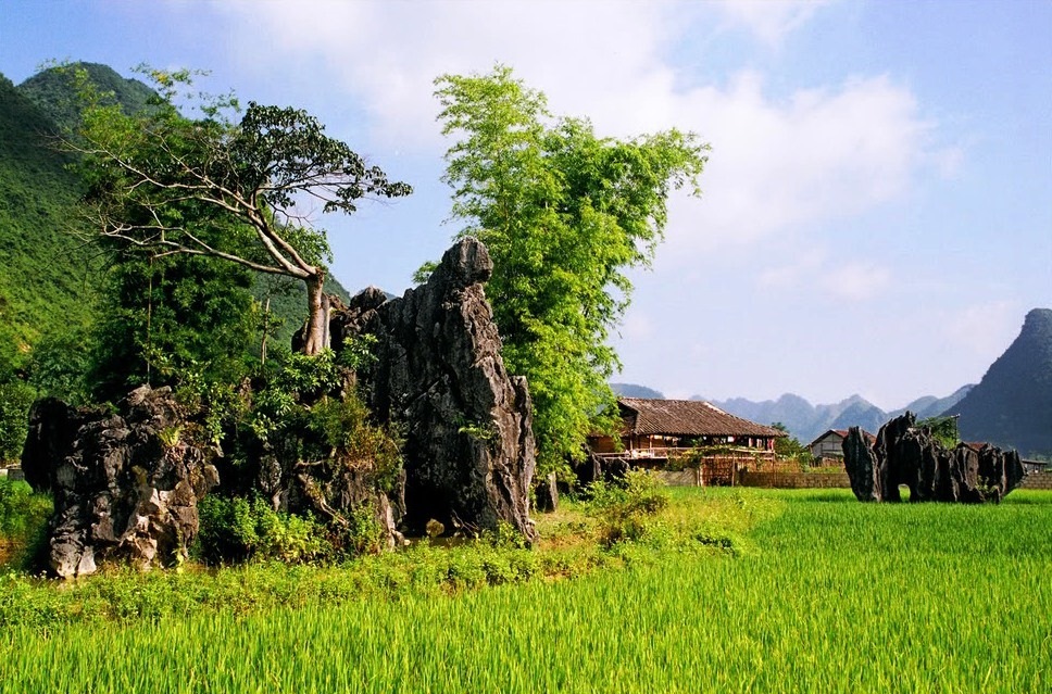 [phongcanhBacSon3.jpg]