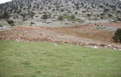 Γκιώνα 8-4-2010 058 Γκιώνα 8-4-2010 058
