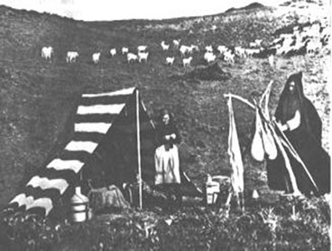 Στάνη Στάνη