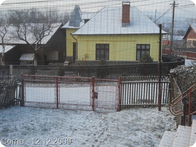 SDC10520