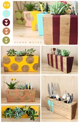compai_sugar-molds (2)