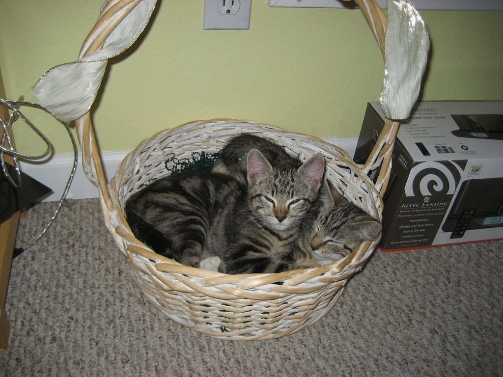 [IMG_6749[4].jpg]